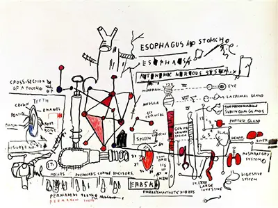 Pelptic Ulcer (Peptic Ulcer) Jean-Michel Basquiat